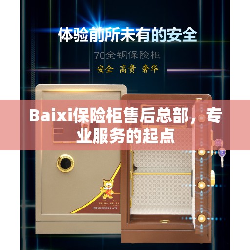 Baixi保险柜售后总部，专业服务的起点