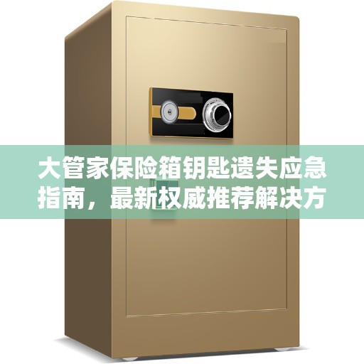 大管家保险箱钥匙遗失应急指南，最新权威推荐解决方案