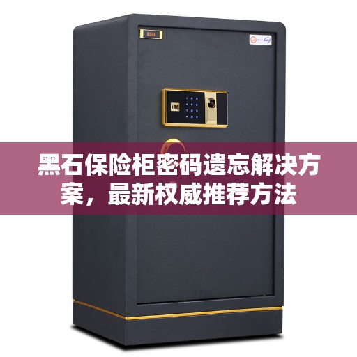 黑石保险柜密码遗忘解决方案，最新权威推荐方法
