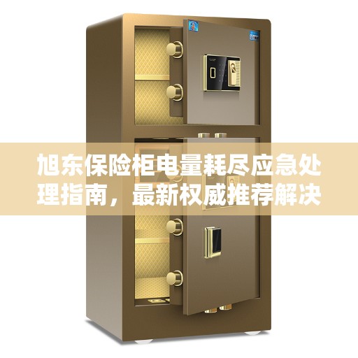 旭东保险柜电量耗尽应急处理指南,最新权威推荐解决方案 旭东保险柜电量耗尽应急处理指南,最新权威推荐解决方案