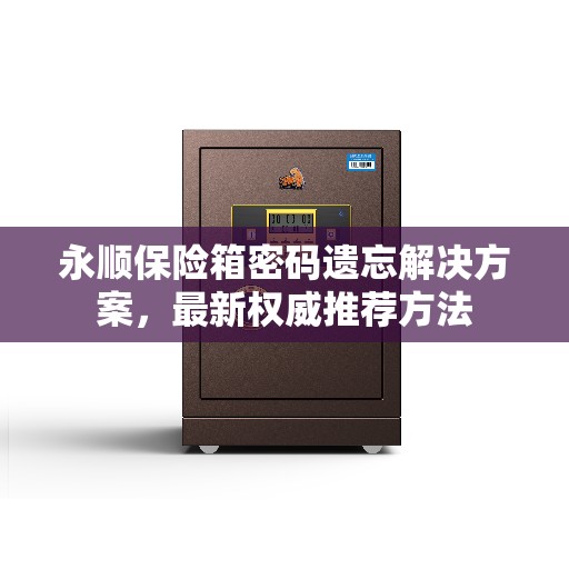 永顺保险箱密码遗忘解决方案，最新权威推荐方法