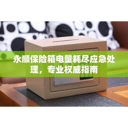 永顺保险箱电量耗尽应急处理，专业权威指南