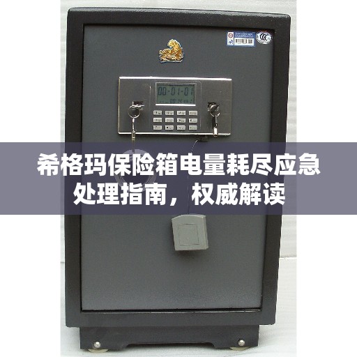 希格玛保险箱电量耗尽应急处理指南，权威解读
