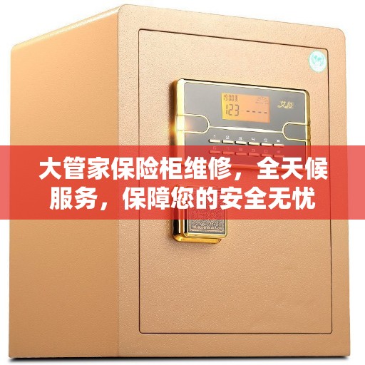 大管家保险柜维修，全天候服务，保障您的安全无忧