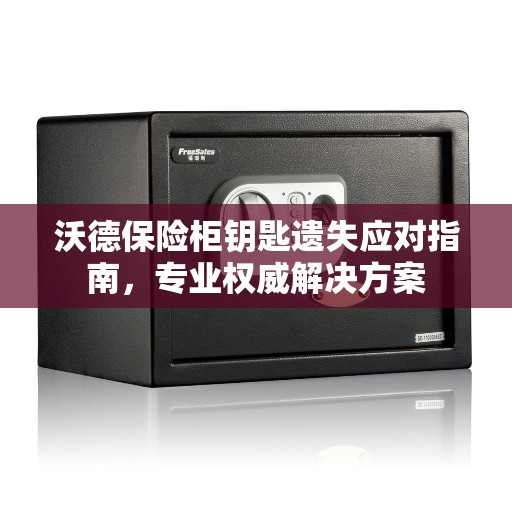沃德保险柜钥匙遗失应对指南，专业权威解决方案