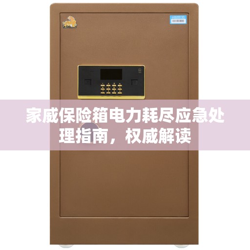 家威保险箱电力耗尽应急处理指南，权威解读