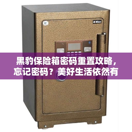 黑豹保险箱密码重置攻略，忘记密码？美好生活依然有保障！