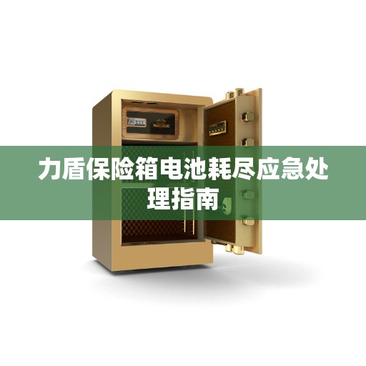 力盾保险箱电池耗尽应急处理指南