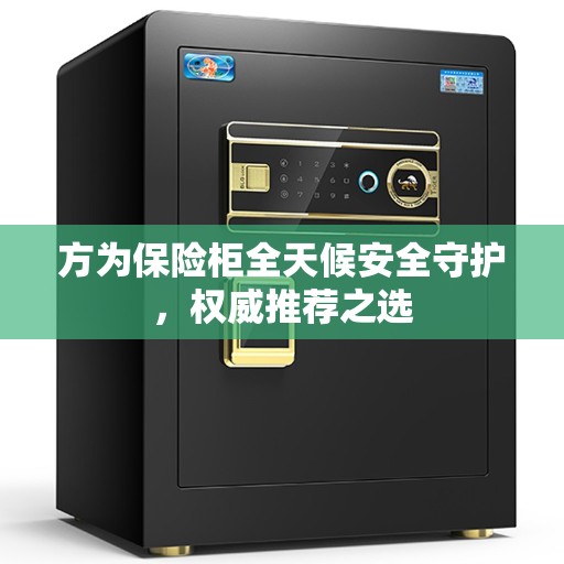 方为保险柜全天候安全守护，权威推荐之选