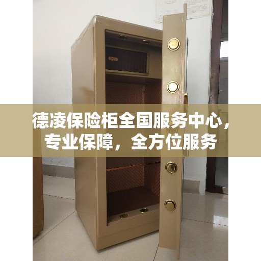 德凌保险柜全国服务中心，专业保障，全方位服务