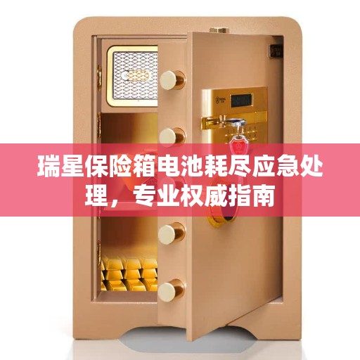 瑞星保险箱电池耗尽应急处理，专业权威指南