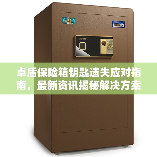 卓盾保险箱钥匙遗失应对指南，最新资讯揭秘解决方案