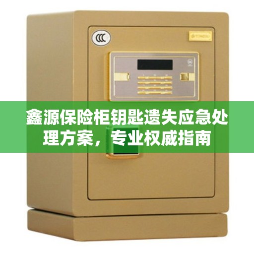 鑫源保险柜钥匙遗失应急处理方案，专业权威指南