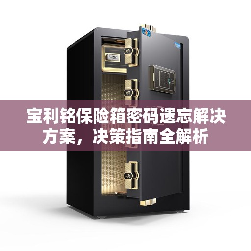 宝利铭保险箱密码遗忘解决方案，决策指南全解析