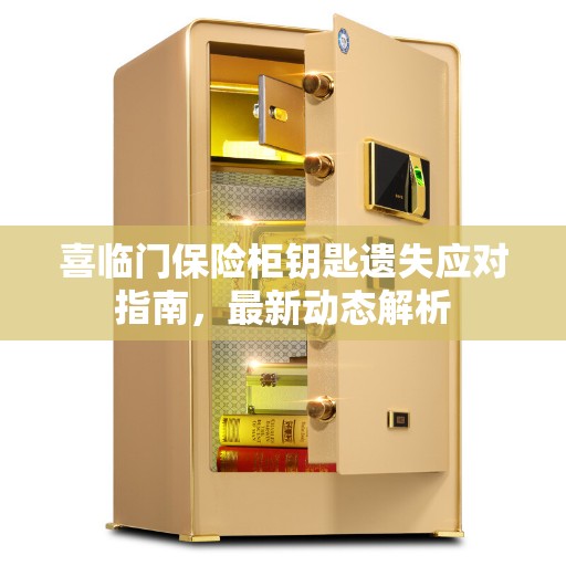 喜临门保险柜钥匙遗失应对指南，最新动态解析