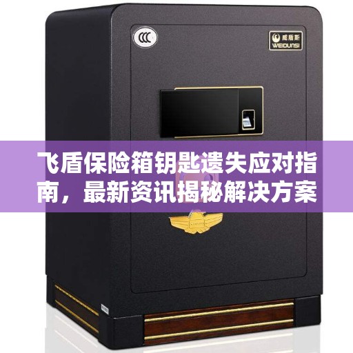 飞盾保险箱钥匙遗失应对指南，最新资讯揭秘解决方案