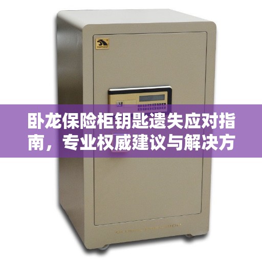 卧龙保险柜钥匙遗失应对指南，专业权威建议与解决方案