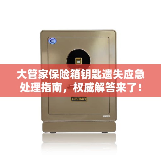 大管家保险箱钥匙遗失应急处理指南，权威解答来了！