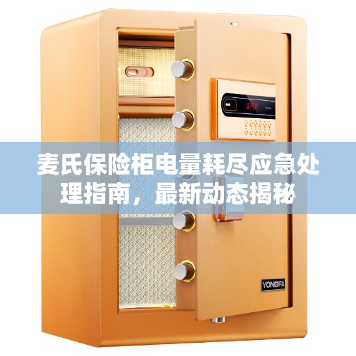 麦氏保险柜电量耗尽应急处理指南，最新动态揭秘