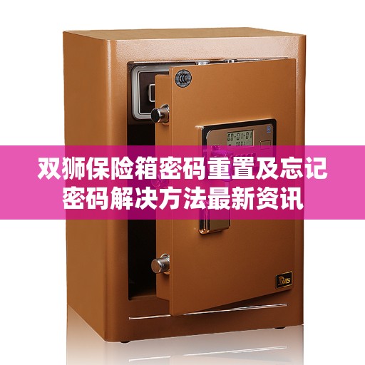双狮保险箱密码重置及忘记密码解决方法最新资讯
