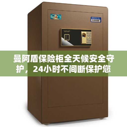 曼阿盾保险柜全天候安全守护，24小时不间断保护您的财产安全