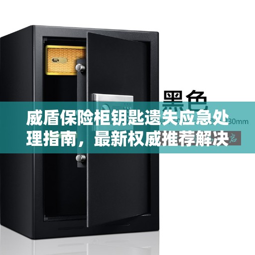威盾保险柜钥匙遗失应急处理指南，最新权威推荐解决方案