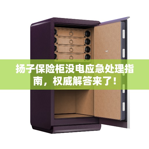 扬子保险柜没电应急处理指南，权威解答来了！
