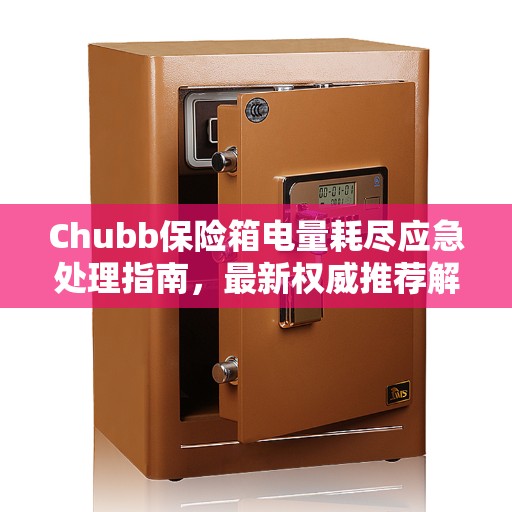 Chubb保险箱电量耗尽应急处理指南，最新权威推荐解决方案