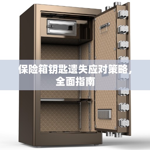 保险箱钥匙遗失应对策略，全面指南