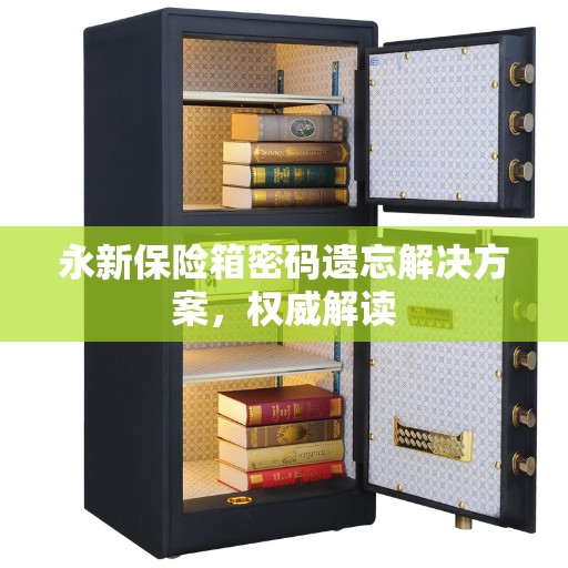 永新保险箱密码遗忘解决方案，权威解读