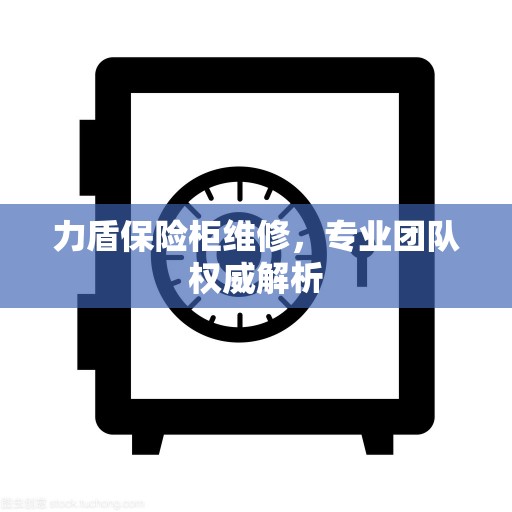 力盾保险柜维修，专业团队权威解析