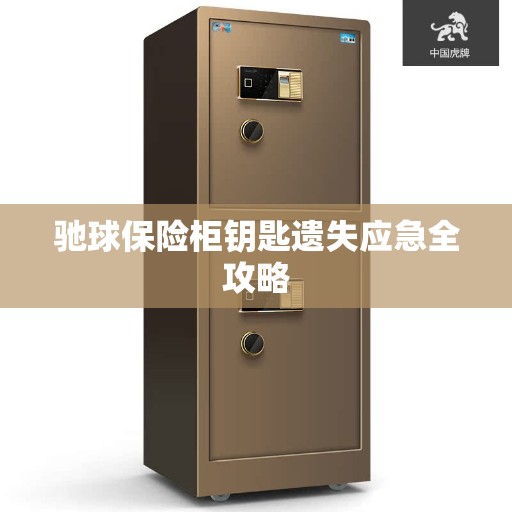 驰球保险柜钥匙遗失应急全攻略