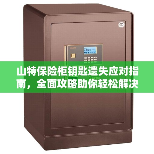 山特保险柜钥匙遗失应对指南，全面攻略助你轻松解决