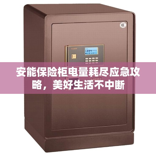 安能保险柜电量耗尽应急攻略，美好生活不中断