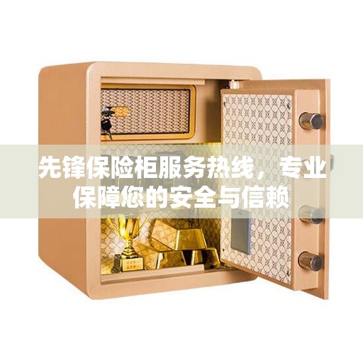 先锋保险柜服务热线，专业保障您的安全与信赖