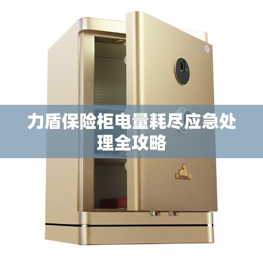 力盾保险柜电量耗尽应急处理全攻略
