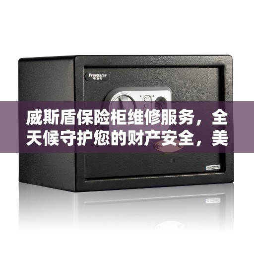 威斯盾保险柜维修服务，全天候守护您的财产安全，美好生活从此无忧