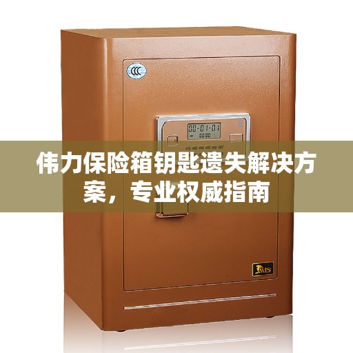 伟力保险箱钥匙遗失解决方案,专业权威指南 伟力保险箱钥匙遗失解决方案,专业权威指南