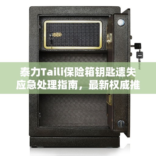 泰力Taili保险箱钥匙遗失应急处理指南，最新权威推荐解决方案