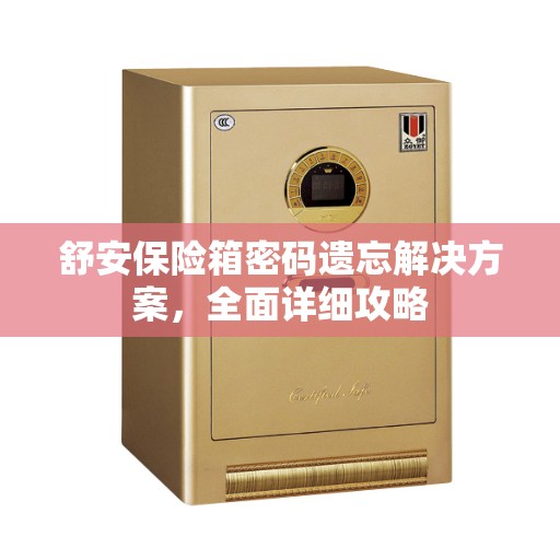 舒安保险箱密码遗忘解决方案，全面详细攻略