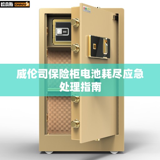 威伦司保险柜电池耗尽应急处理指南