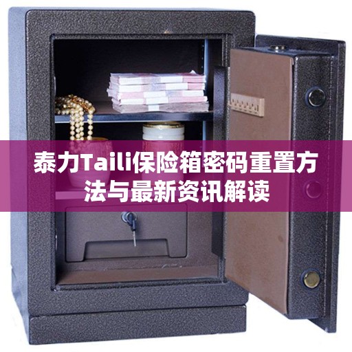 泰力Taili保险箱密码重置方法与最新资讯解读