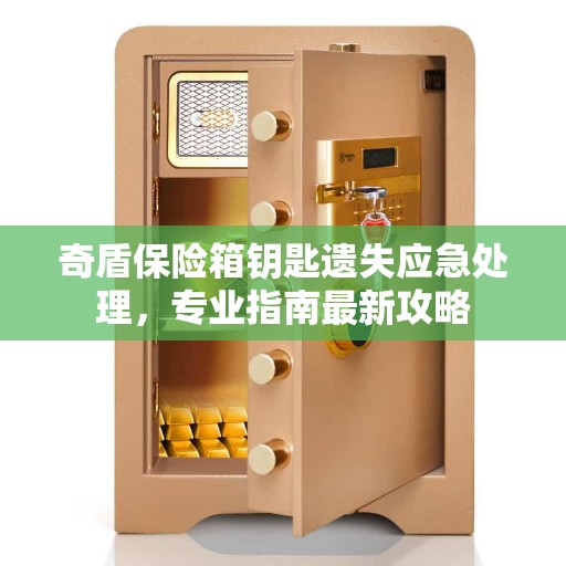 奇盾保险箱钥匙遗失应急处理,专业指南最新攻略 奇盾保险箱钥匙遗失应急处理,专业指南最新攻略