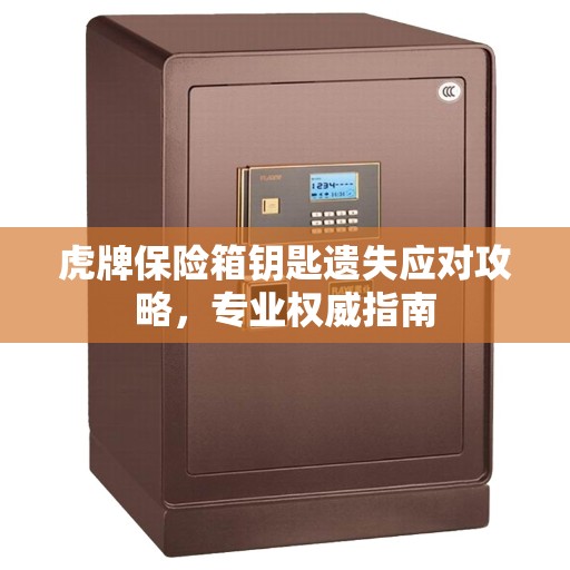 虎牌保险箱钥匙遗失应对攻略，专业权威指南