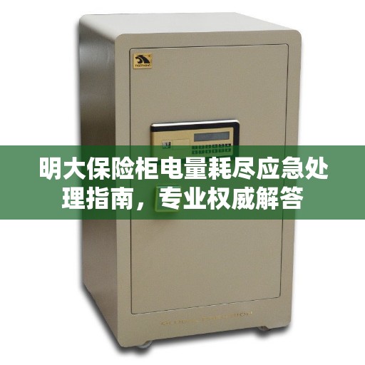明大保险柜电量耗尽应急处理指南，专业权威解答