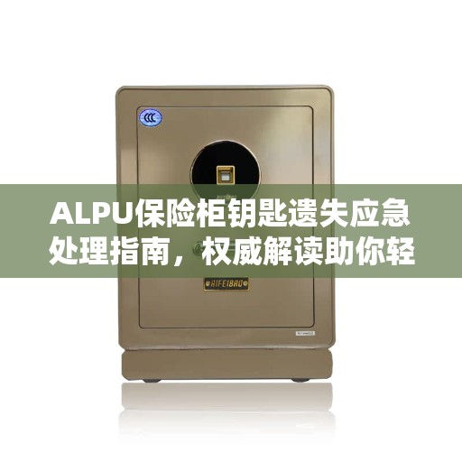 ALPU保险柜钥匙遗失应急处理指南，权威解读助你轻松应对