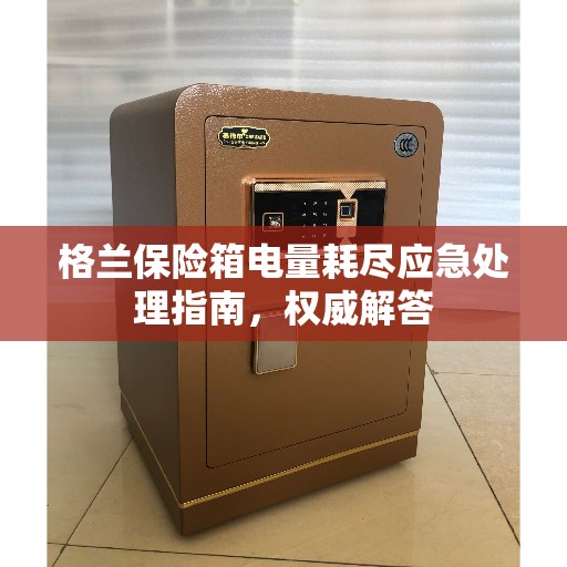 格兰保险箱电量耗尽应急处理指南，权威解答