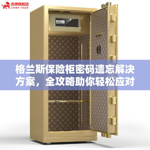 格兰斯保险柜密码遗忘解决方案，全攻略助你轻松应对