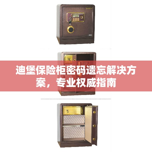 迪堡保险柜密码遗忘解决方案，专业权威指南