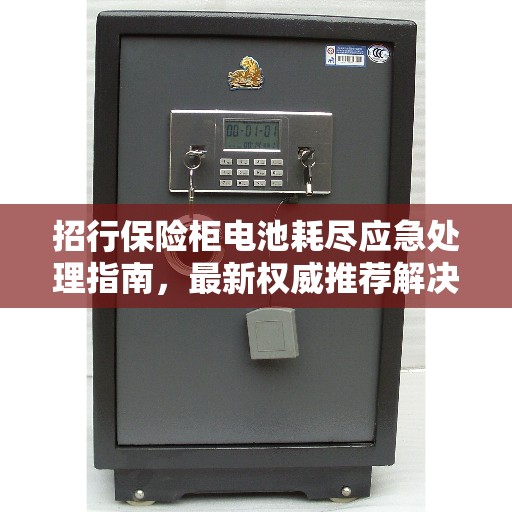 招行保险柜电池耗尽应急处理指南，最新权威推荐解决方案